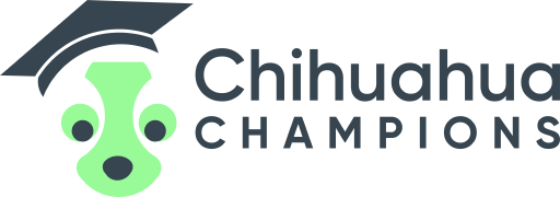 Chihuahua Champions